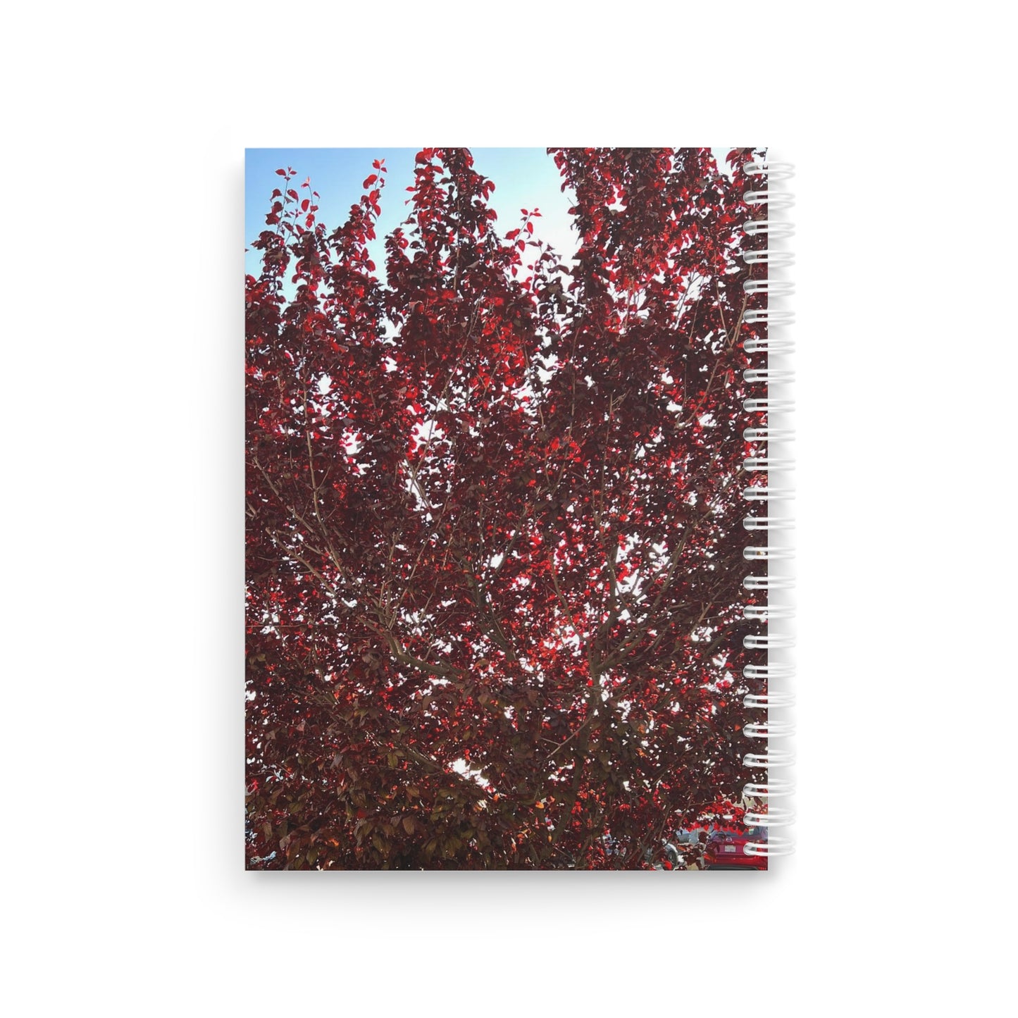 Spiral Notebook
